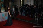 at 2012 Bafta Awards - Red Carpet on 10th Feb 2013 (57).jpg